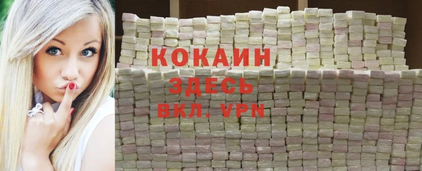 гашик Богородск