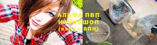 гашик Богородск