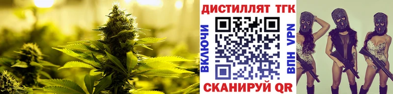 ТГК гашишное масло Купить где Гуково